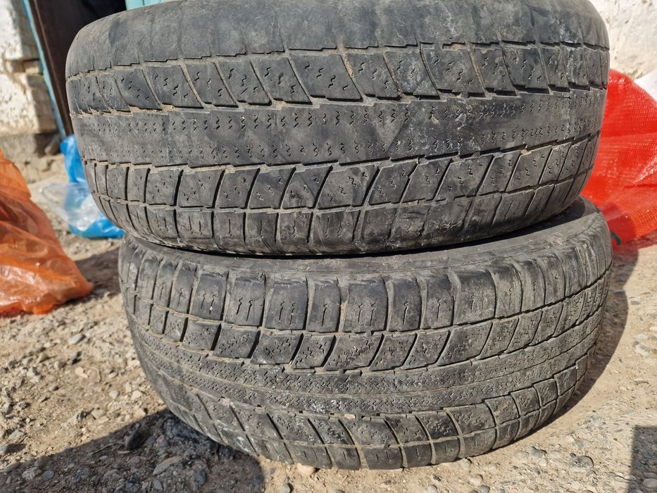 пакрышка біреуі жаксы осы жылга жетет журп тастаганга