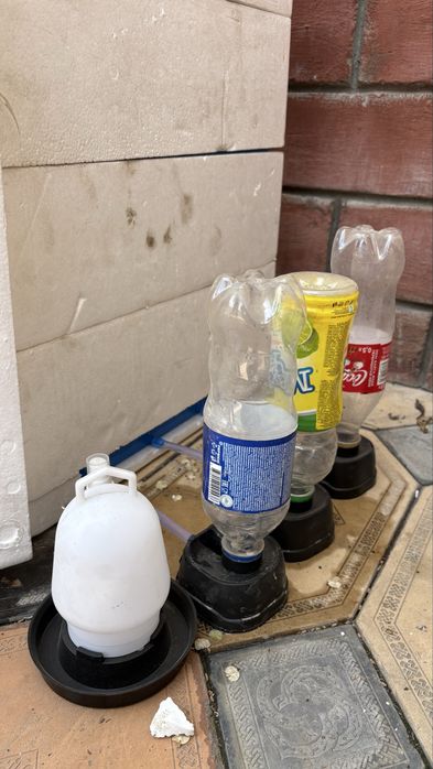 Инкубатор на 200 яиц