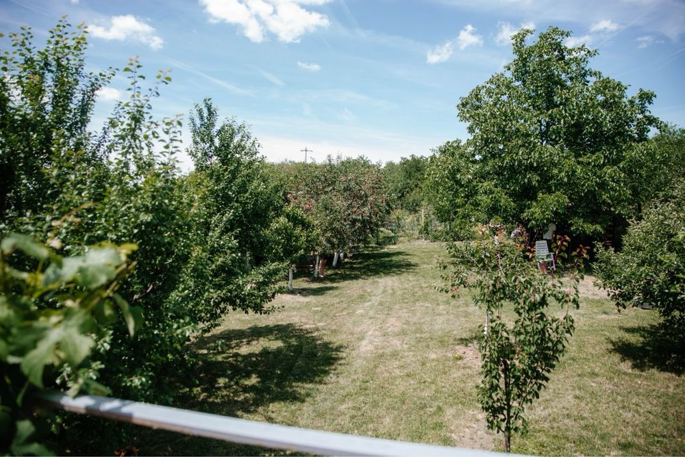 Casă de vânzare în Zalău | D+P+M | 200 mp utili | Teren 700 mp