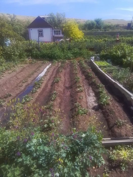 Продам дачу в обществе Металист