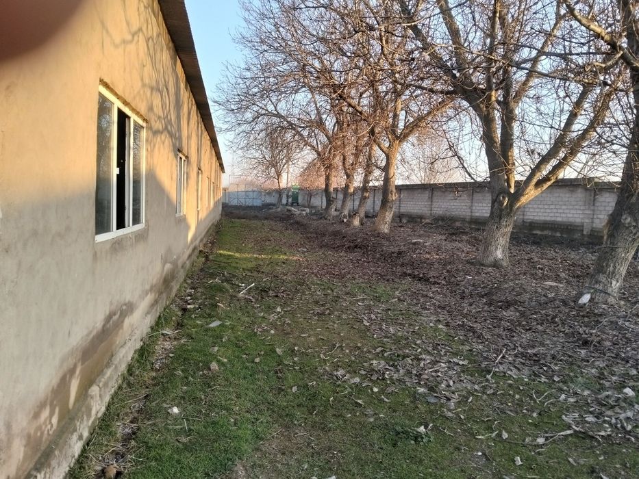 Срочно. База 1.5 гектар.