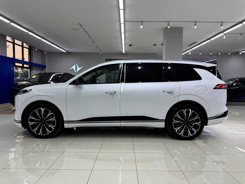 Dongfeng 008 Max pod zakaz