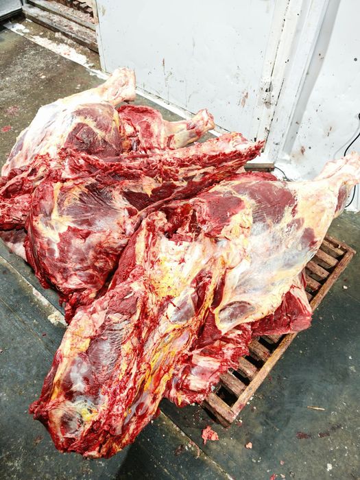 Мясо говядины конины тушами