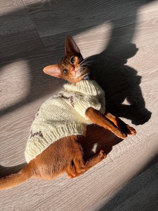 Вязаная одежда для собак и кошек