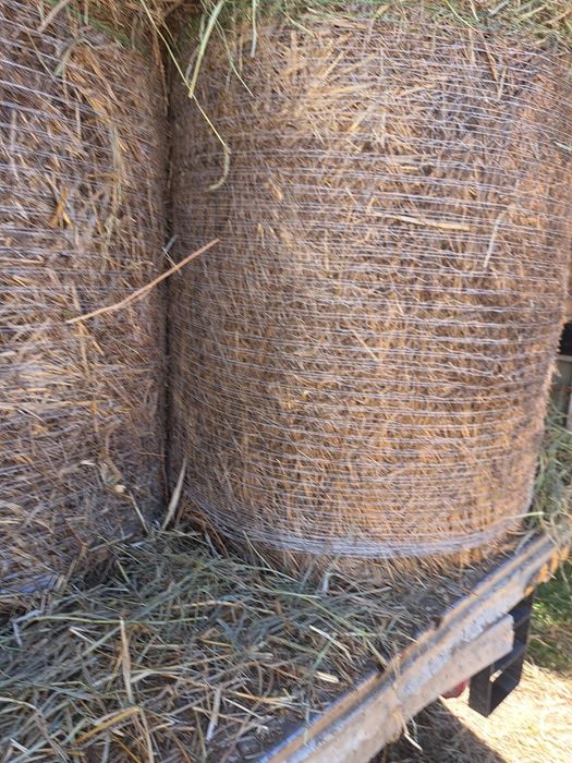 Baloti  lucerna treierata /Baloti porumb treierat/ovaz musetel /Baloti