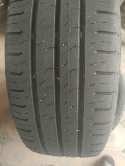 Болон болоны шины