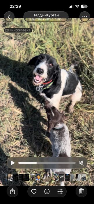 Нужен кабел для вяски