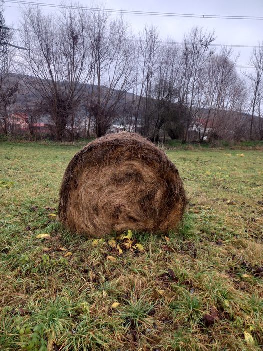 Vând baloti 160/120