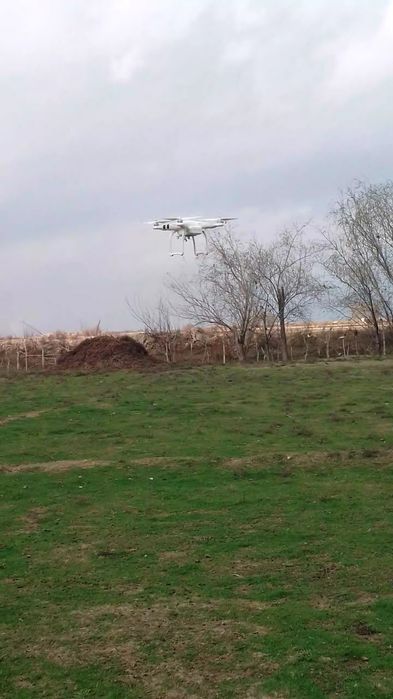 Dji phantom 3 standard