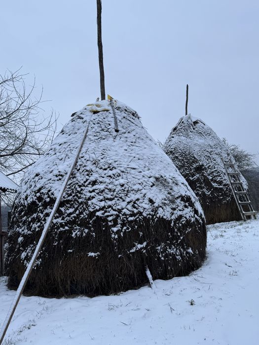 Clăi de fân de vanzare