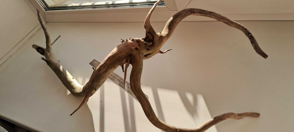 Коряга для аквариума