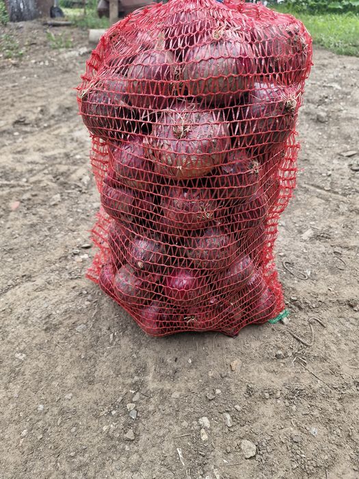 De vânzare ceapa roșie