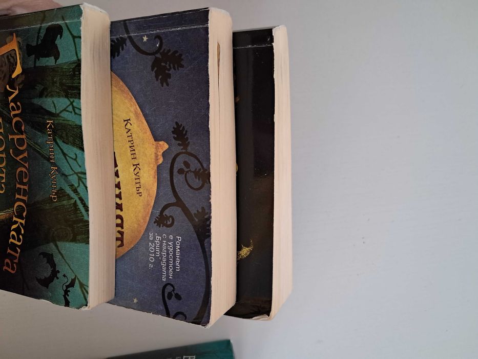 Хрониките на Спайдъруик и други книги