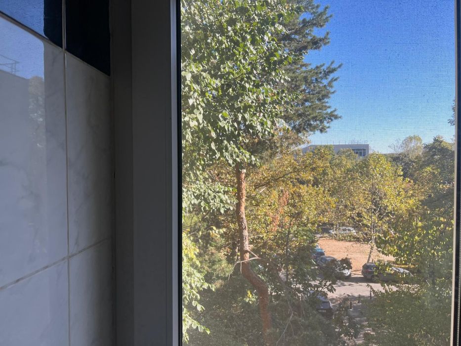 Aleea circului, Ștefan cel Mare — fotografia 3