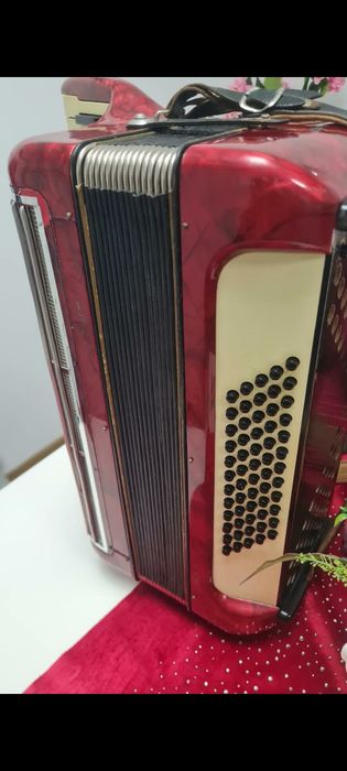 Vind acordeon hohner