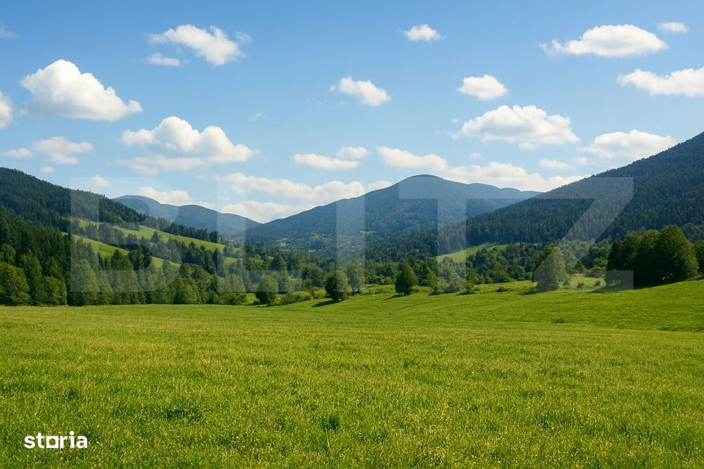 Teren intravilan de vanzare, 7.000 mp, Vatra Dornei