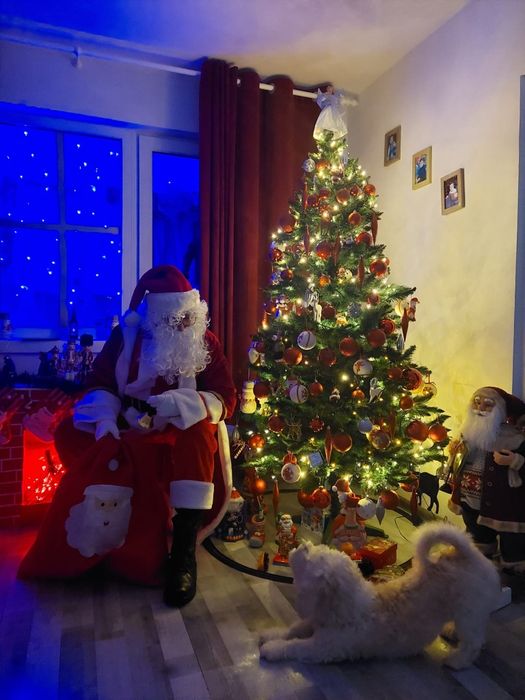 Moș Crăciun de închiriat