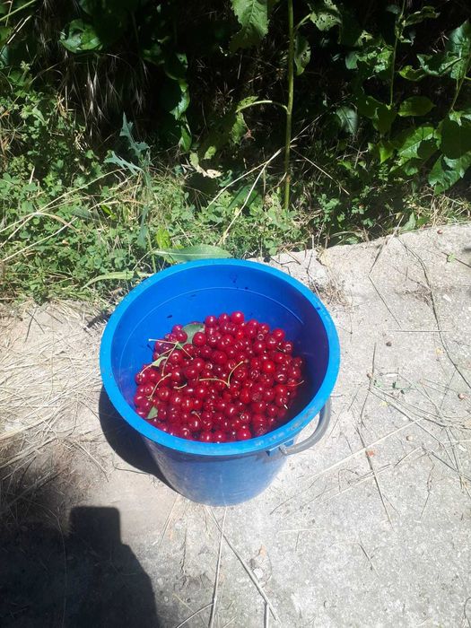 Продается  5 комнатный дом, торг