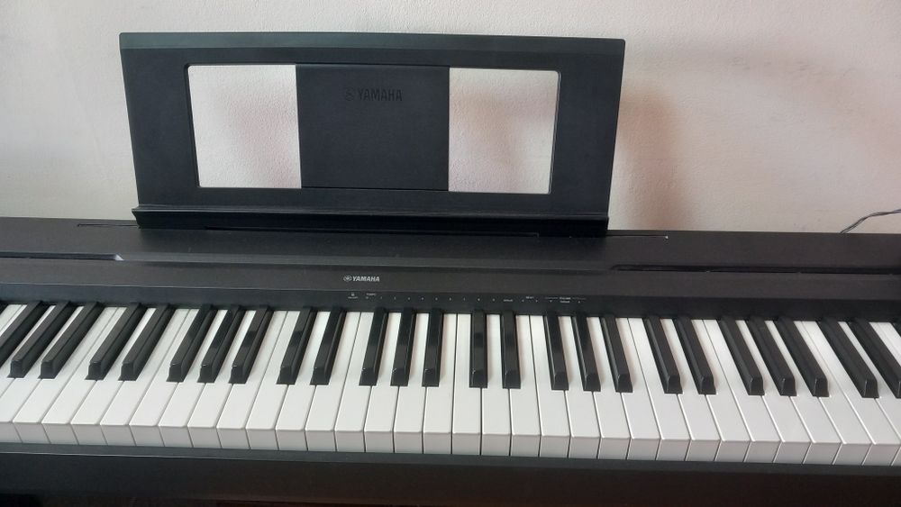 Yamaha P45 7млн 8000минг
