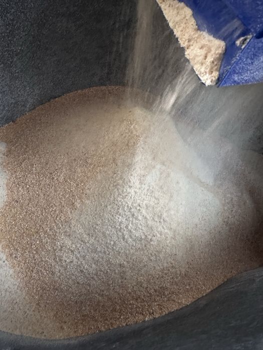 Vand porumb recolta 2025