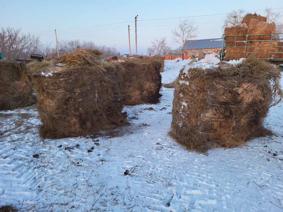 Сено рулон 24 г луговое