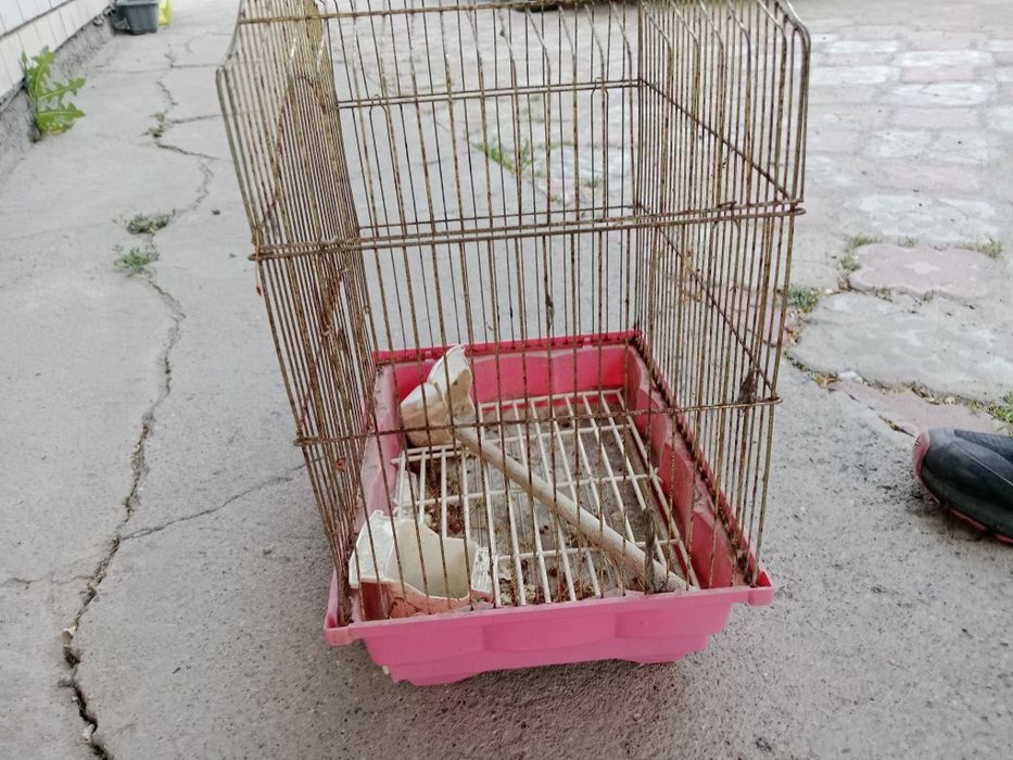 Клетка для попугая
