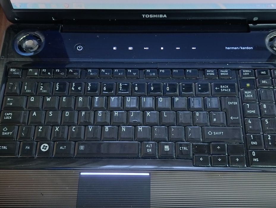 Toshiba Satellite P300-1C9