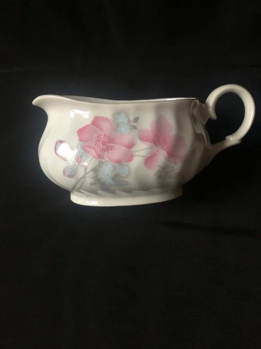 Нови кана и сосиера