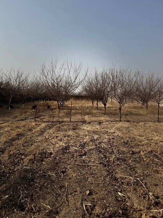 Yer sotiladi uy qurib foydalanishga