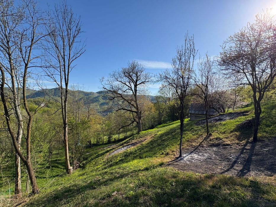 Vând casă+teren.