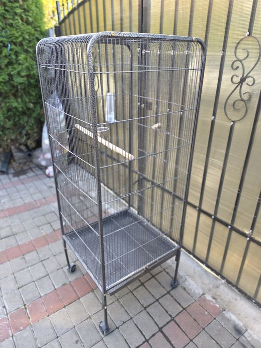 Cuscă Papagali Marele Alexandru