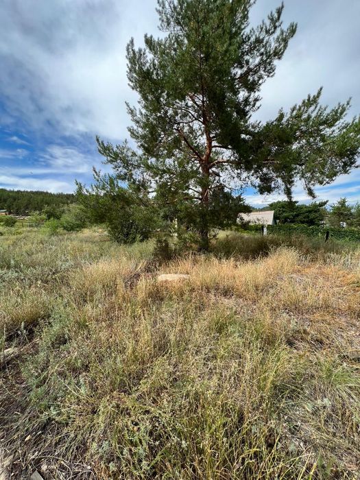 Продам участок на Бухтарме.