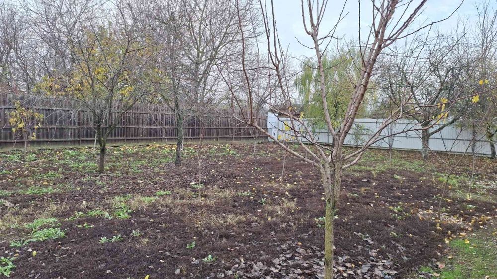 Casa Movilita, Ialomita