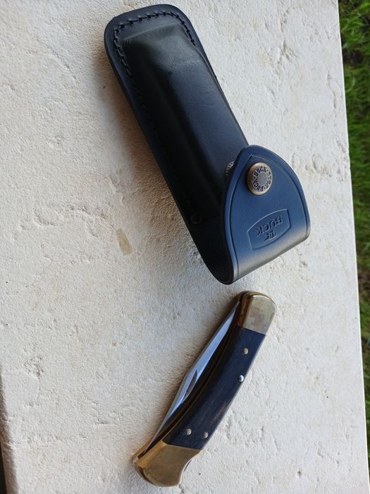 Buck 110 folding knife