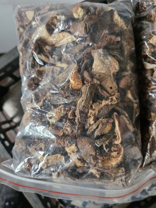 Грибы  сушёные  .редовки  под.топольник.