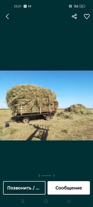 Продам сено луговое