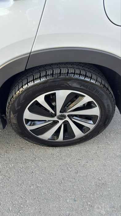 Byd chempion Dm-i