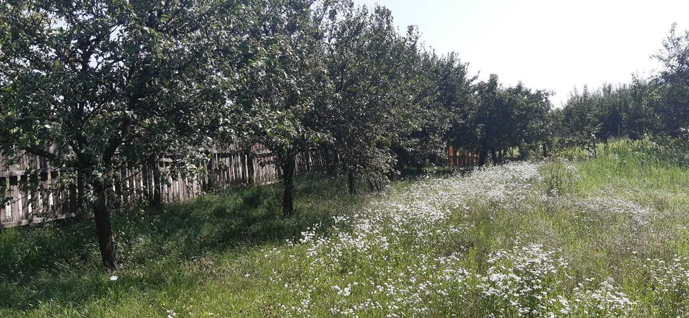 Parcela 946mp (teren total 1769mp), Str. Grigore Vieru, Alba Iulia