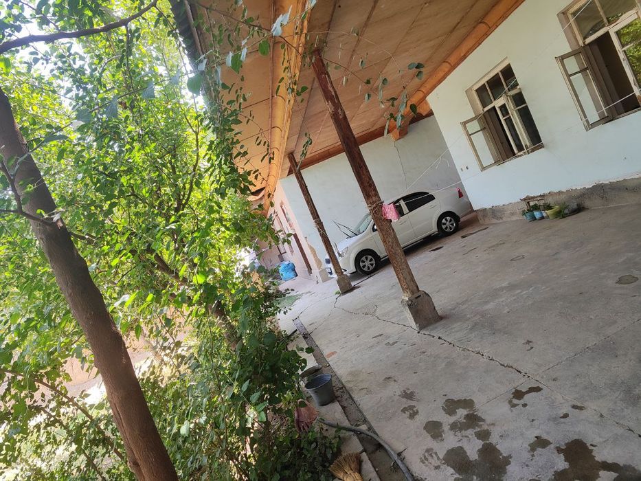 Томарка буш жой йер хисобида