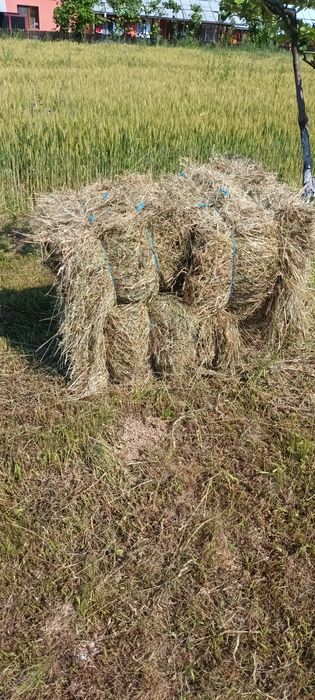 Vând baloți de fân!