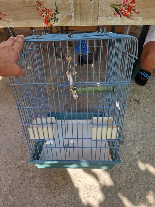 Vând cușcă mare pentru papagal