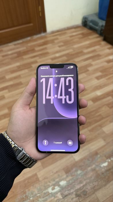 iPhone 13 Pro Max Green