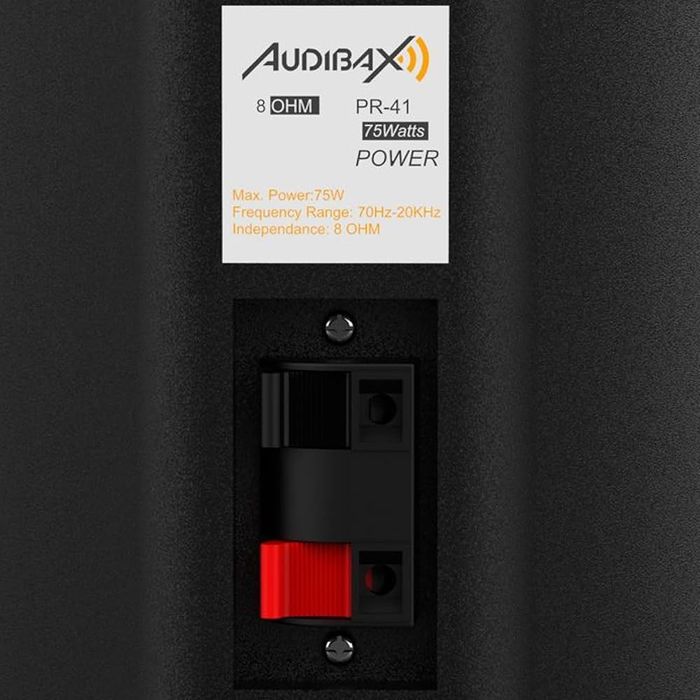 Audibax | Pícolo PR41 Boxe de raft Boxe HiFi și PA Putere 75 W