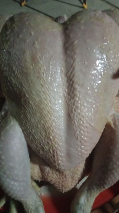 Продам тушки бройлера