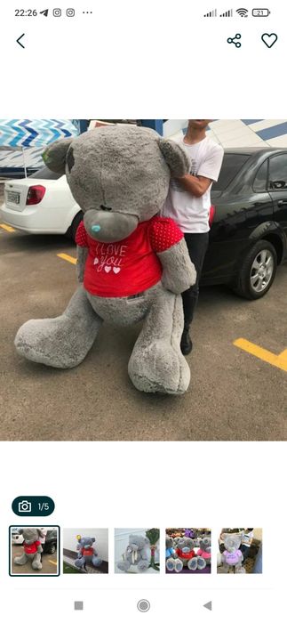 Teddi Teddy (2m xitoy)