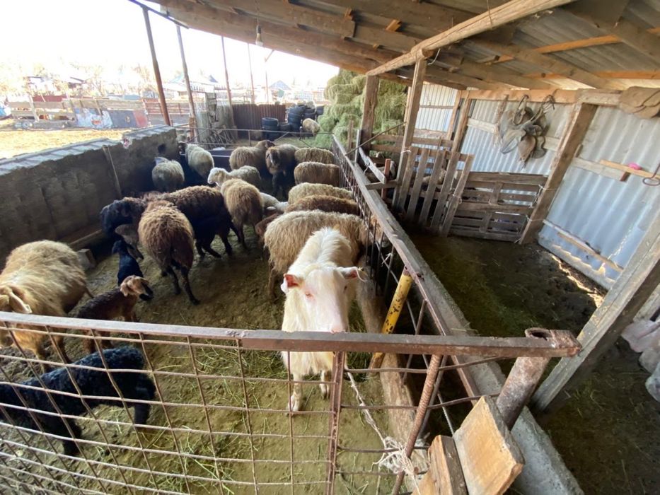 Продам уютный дом