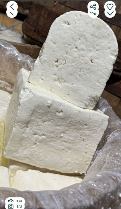 Vând brânză de oaie
