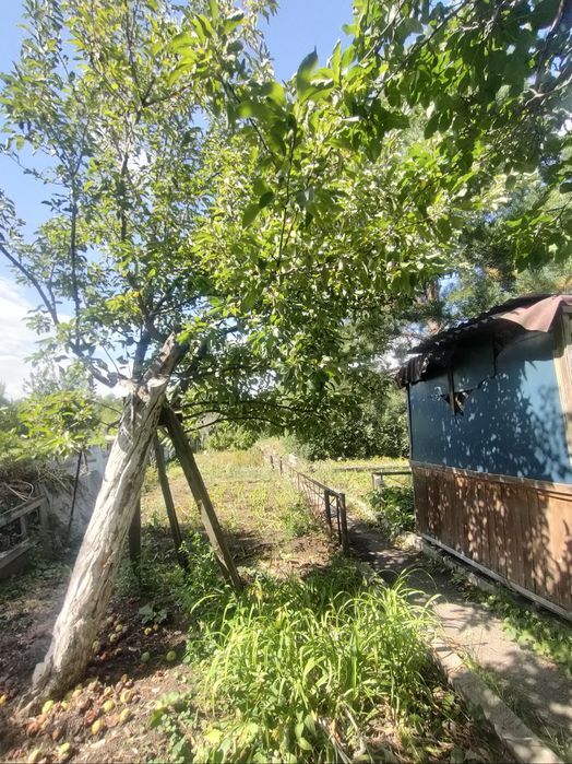 Продажа дачи в михайловке