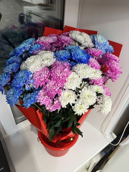 Пролам цветы подарили вчера ночью