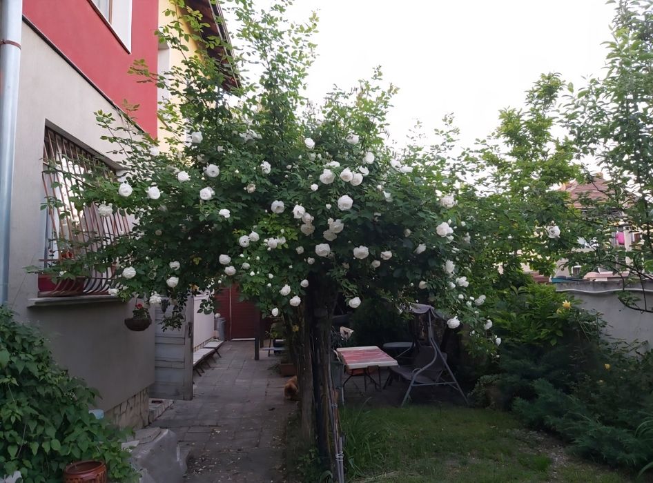 Продава се Къща в София, Левски - 200 кв.м за 2575 €/кв.м - Снимка #2